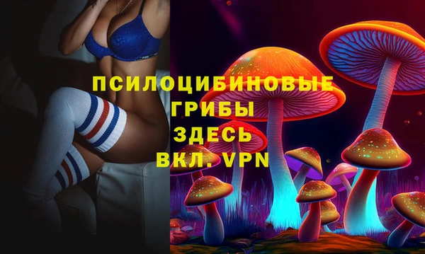 соль курить ск Козловка