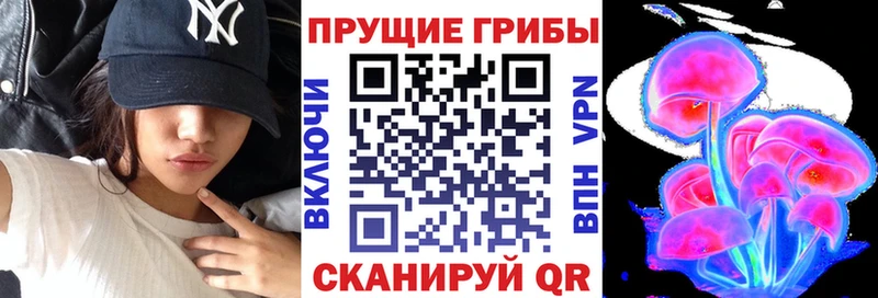 Купить где  Верхотурье  Псилоцибиновые грибы Cubensis 